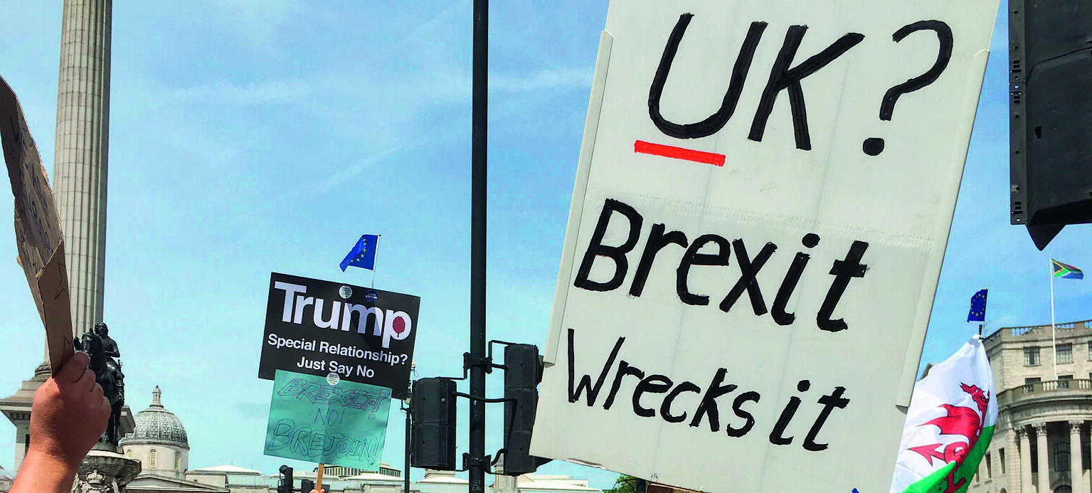 Brexit-Gegner auf einer Kundgebung in London.