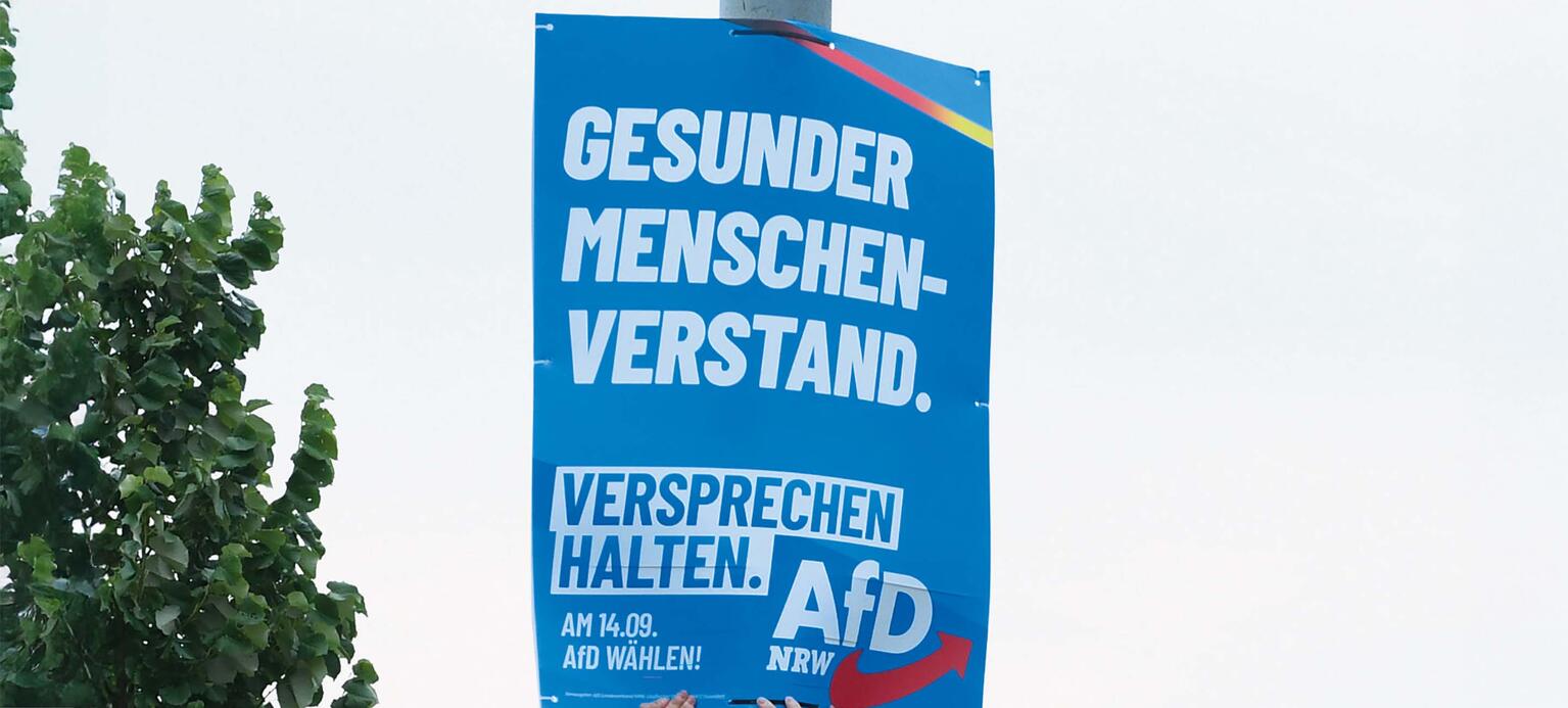 Wahlplakat der AfD an Straßenlaterne