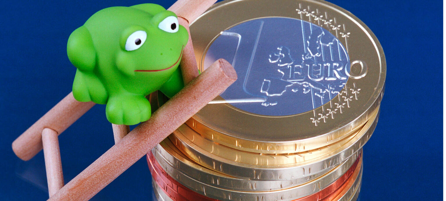 Frosch auf der Leiter - auf einem Stapel Euromünzen -  IMK Konjunkturindikator