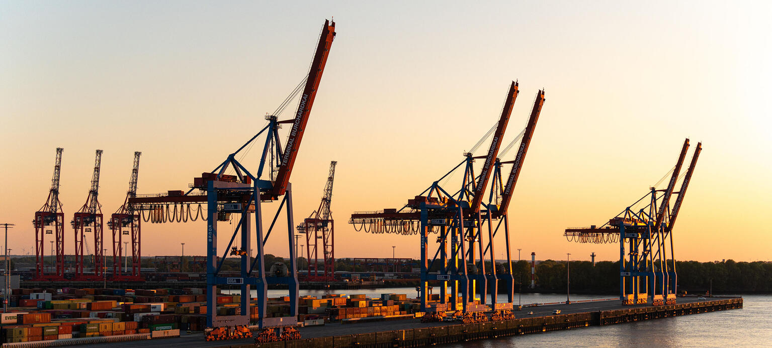 Containerbrücken am Terminal Burchardkai im Hamburger Hafen bei Sonnenuntergang
