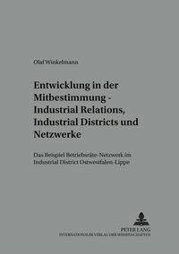Entwicklung in der Mitbestimmung - Industrial Relations, Industrial Districts und Netzwerke